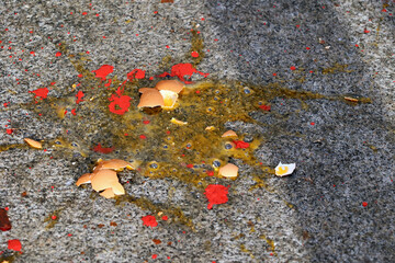 Jako rozbite na chodniku. Protest polityczny.  © FotoDax