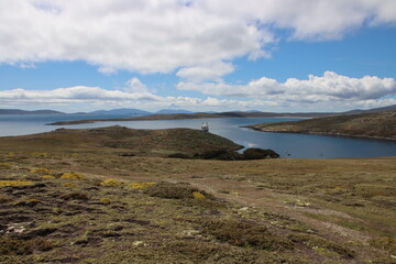 View on West Point Island in the Falkland Islands.