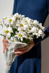 a bouquet of white chrysanthemums in the hands of a girl. bouquet of flowers. congratulations on March 8