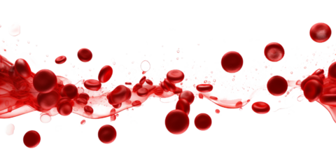 Illustration of the human red blood cells isollated on the transparent background.