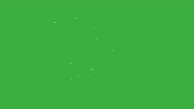 Animation cartoon video loop smoke letter B on green screen background