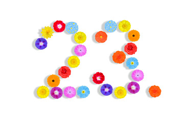 number  written on white background with colorful flowers, Graphic, Illustration
