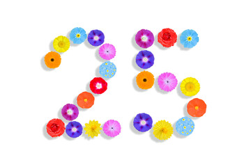 number  written on white background with colorful flowers, Graphic, Illustration