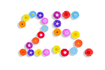 number  written on white background with colorful flowers, Graphic, Illustration