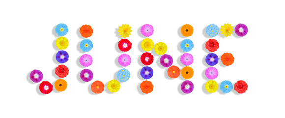 word written on white background with colorful flowers, Graphic, Illustration