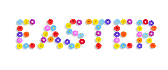 word written on white background with colorful flowers, Graphic, Illustration
