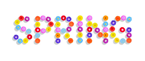 word written on white background with colorful flowers, Graphic, Illustration