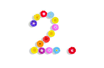 number  written on white background with colorful flowers, Graphic, Illustration