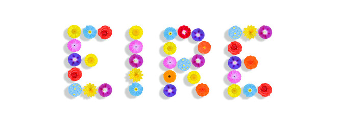 word written on white background with colorful flowers, Graphic, Illustration