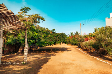 Fototapeta premium An empty road amidst trees in Malindi, Kenya