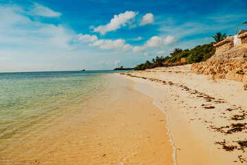 Scenic view of Malindi Beach with mangrove trees in the morning in Malindi, Kenya