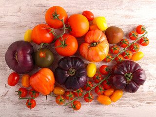Mix of different sorts of tomatoes