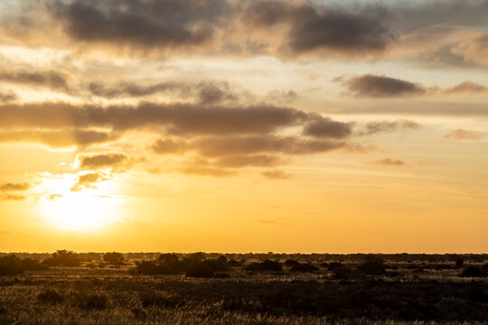 Golden dusk over the Nullabor.