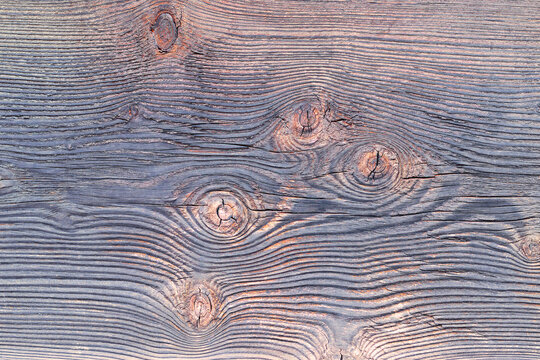 spruce wood backdrop