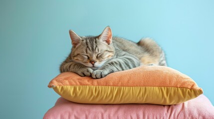 Cat Sleeping Peacefully on Soft Pillows