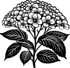Hydrangeaceae Plant icon 7