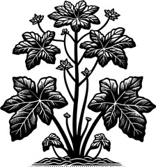 Hydatellaceae Plant icon 14