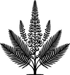 Huaceae Plant icon 15