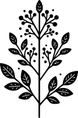 Hernandiaceae Plant icon 7