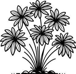 Haptanthaceae Plant icon 6