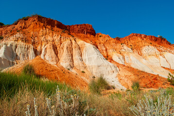 wild life among the gigantic dunes in the Algarve in southern Portugal a few kilometers from Spain