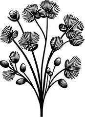Hamamelidaceae Plant icon 7