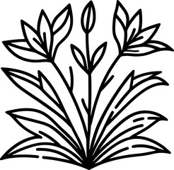 Haemodoraceae Plant icon 16