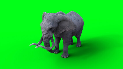 Obraz premium African elephant idle. 3d rendering.