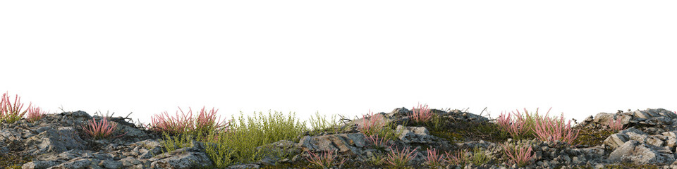 Wildflowers Blooming Amidst Rocky Terrain. 3D rendering.