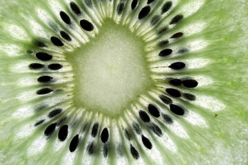 Section of a Kiwi fruit viewed by transparence - Actinidia deliciosa