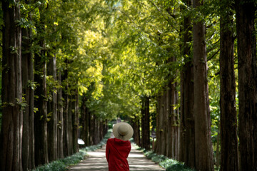 a girl on the pathway with metasequoia trees