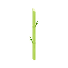 Sugar cane vector. Sugar cane on white background.