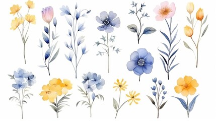 Watercolour floral  set , delicate flowers, yellow, blue and pink flowers, greeting card template
