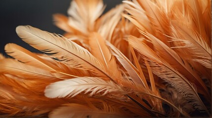 Soft orange feathers close up texture with sunlight gentle background from Generative AI