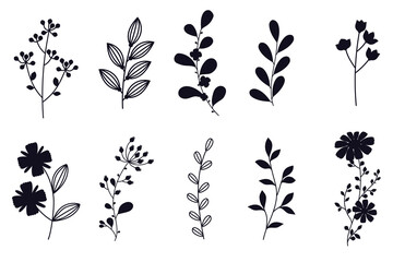 Collection of flowers, leaves and branches silhouettes isolated on white background.