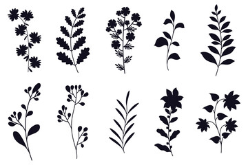 Collection of flowers, leaves and branches silhouettes isolated on white background. - obrazy, fototapety, plakaty