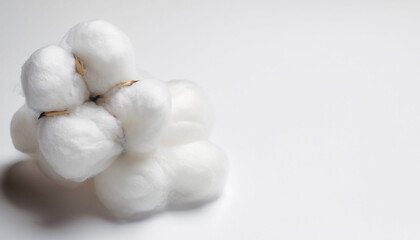Fototapeta na wymiar Cotton wool on white background with copy space