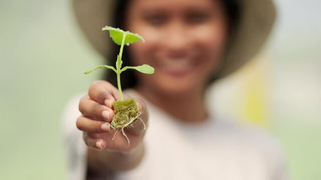 Woman holding melon plant seedling in indoor gardening system, farm-to-table
