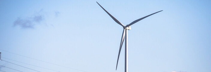 A windmill that generates electricity