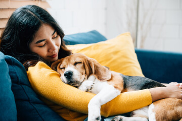Embracing the concept of trust and love, an Asian woman and her Beagle puppy nap together on the...