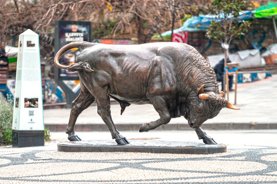 ISTANBUL - JAN 17: Bronze Kadikoy Bull Statue in Istanbul on January 17. 2024 in Turkey