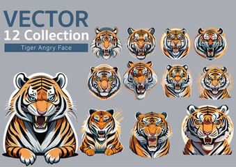 Tiger Angry Face illustrator Vector