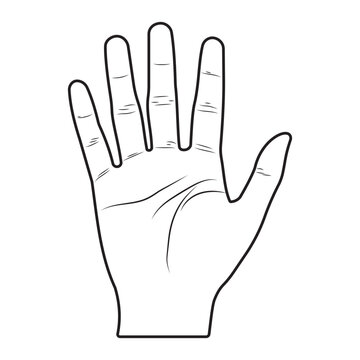 Hand icon. Human palm, hand vector icon design with stroke line. Front side of human hand vector, image. 
