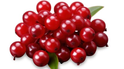 Isolated orange fruit Fresh Fruit Slice UHD WALLPAPER