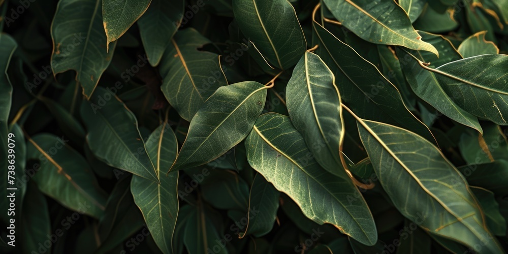 Poster a close-up view of a bunch of green leaves. suitable for nature-themed designs and environmental con