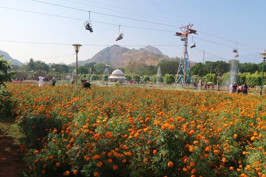 Malampuzha dam garden ropeway transportation 