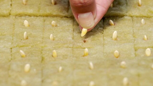 Close-up, planting melon seeds in rock wall, hydroponic growing medium