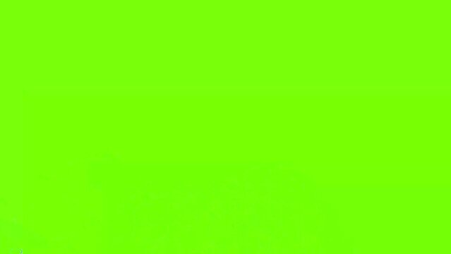 Liquid vfx pack Splash Motion Graphics Pack on green screen. Easy to customize with your favorite software. Computer Generated VFX with Alpha Channel. Just drop it into your project.