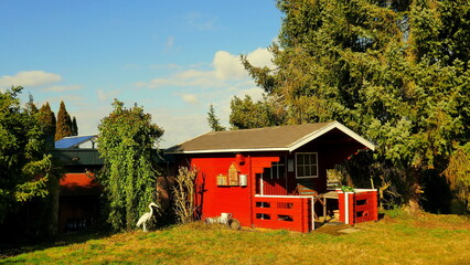 malerisches schwedenrotes Gartenhaus auf grüner Wiese  in natürlichem Garten in der Frühlingssonne unter blauem Himmel