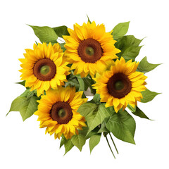 Fototapeta premium Bouquet of sunflowers on white or transparent background